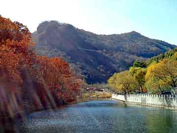 新澳门二四六天天彩，都市风流王